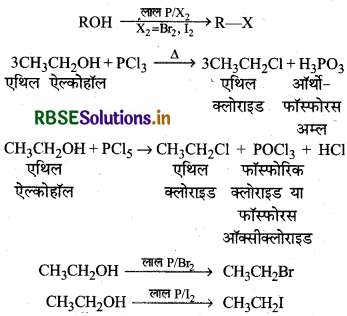 RBSE Class 12 Chemistry Important Questions Chapter 10 हैलोऐल्केन तथा हैलोऐरीन 91