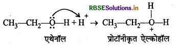 RBSE Class 12 Chemistry Important Questions Chapter 11 ऐल्कोहॉल, फीनॉल एवं ईथर 120