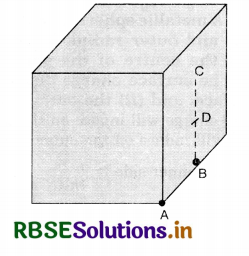 RBSE Solutions for Class 12 Physics Chapter 1 Electric Charges and Fields 27
