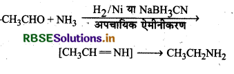 RBSE Class 12 Chemistry Important Questions Chapter 13 ऐमीन22