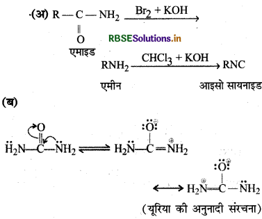 RBSE Class 12 Chemistry Important Questions Chapter 13 ऐमीन35