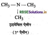RBSE Class 12 Chemistry Important Questions Chapter 13 ऐमीन41