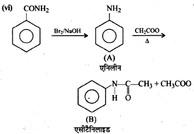 RBSE Class 12 Chemistry Important Questions Chapter 13 ऐमीन63