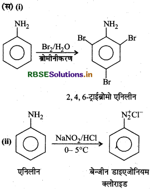 RBSE Class 12 Chemistry Important Questions Chapter 13 ऐमीन81