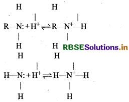RBSE Class 12 Chemistry Important Questions Chapter 13 ऐमीन83