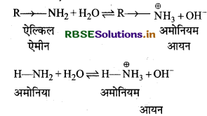 RBSE Class 12 Chemistry Important Questions Chapter 13 ऐमीन84