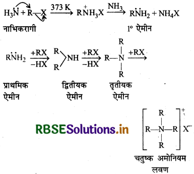 RBSE Class 12 Chemistry Important Questions Chapter 13 ऐमीन85