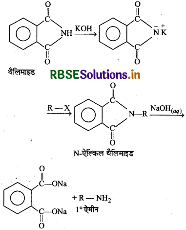 RBSE Class 12 Chemistry Important Questions Chapter 13 ऐमीन87