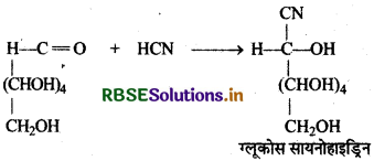 RBSE Class 12 Chemistry Important Questions Chapter 14 जैव-अणु 11