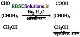 RBSE Class 12 Chemistry Important Questions Chapter 14 जैव-अणु 14