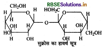 RBSE Class 12 Chemistry Important Questions Chapter 14 जैव-अणु 16