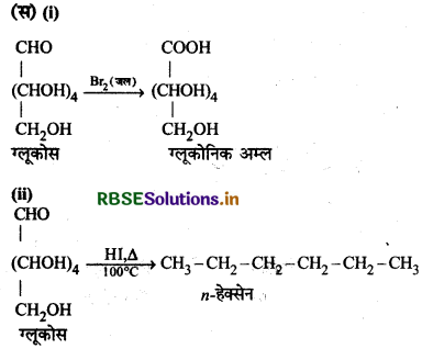 RBSE Class 12 Chemistry Important Questions Chapter 14 जैव-अणु 18
