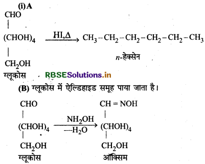 RBSE Class 12 Chemistry Important Questions Chapter 14 जैव-अणु 19
