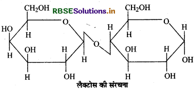 RBSE Class 12 Chemistry Important Questions Chapter 14 जैव-अणु 20