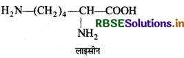 RBSE Class 12 Chemistry Important Questions Chapter 14 जैव-अणु 26