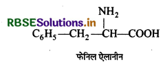 RBSE Class 12 Chemistry Important Questions Chapter 14 जैव-अणु 28