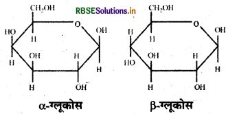 RBSE Class 12 Chemistry Important Questions Chapter 14 जैव-अणु 3