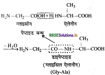 RBSE Class 12 Chemistry Important Questions Chapter 14 जैव-अणु 30