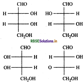 RBSE Class 12 Chemistry Important Questions Chapter 14 जैव-अणु 31