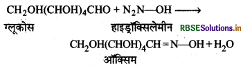 RBSE Class 12 Chemistry Important Questions Chapter 14 जैव-अणु 4