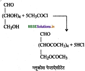 RBSE Class 12 Chemistry Important Questions Chapter 14 जैव-अणु 9
