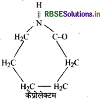 RBSE Class 12 Chemistry Important Questions Chapter 15 बहुलक 1
