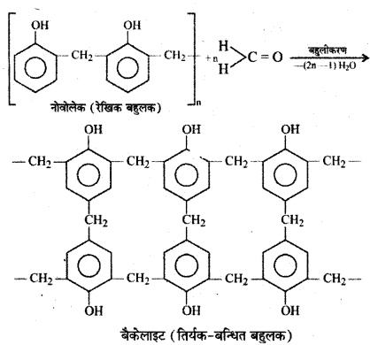 RBSE Class 12 Chemistry Important Questions Chapter 15 बहुलक 19