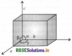 RBSE Solutions for Class 12 Chemistry Chapter 1 The Solid State 1