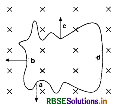 RBSE Solutions for Class 12 Physics Chapter 6 Electromagnetic Induction 2