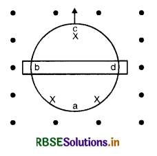 RBSE Solutions for Class 12 Physics Chapter 6 Electromagnetic Induction 3