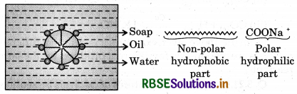 RBSE Solutions for Class 12 Chemistry Chapter 5 Surface Chemistry 10