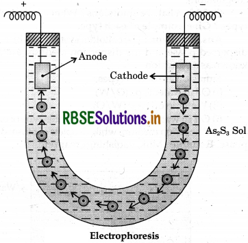 RBSE Solutions for Class 12 Chemistry Chapter 5 Surface Chemistry 18