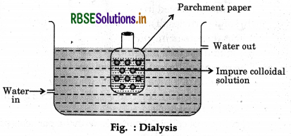 RBSE Solutions for Class 12 Chemistry Chapter 5 Surface Chemistry 19