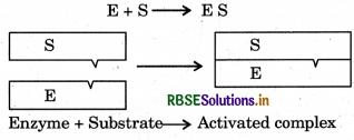 RBSE Solutions for Class 12 Chemistry Chapter 5 Surface Chemistry 6
