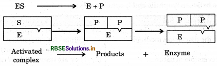 RBSE Solutions for Class 12 Chemistry Chapter 5 Surface Chemistry 7