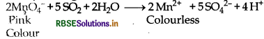 RBSE Solutions for Class 12 Chemistry Chapter 7 The p-Block Elements 19