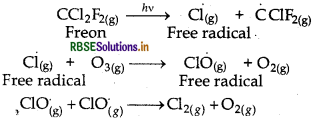 RBSE Solutions for Class 12 Chemistry Chapter 7 The p-Block Elements 42