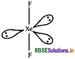 RBSE Solutions for Class 12 Chemistry Chapter 7 The p-Block Elements 49