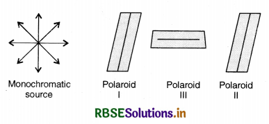 RBSE Solutions for Class 12 Physics Chapter 10 Wave Optics 10