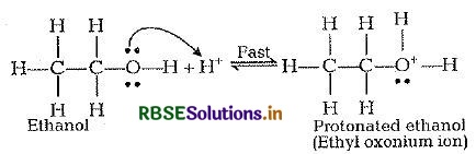 rbse solutions for class 12 chemistry chapter 11 alcohols phenols and ethers 55png