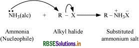 RBSE Solutions for Class 12 Chemistry Chapter 13 Amines 32