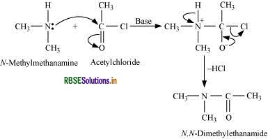 RBSE Solutions for Class 12 Chemistry Chapter 13 Amines 33