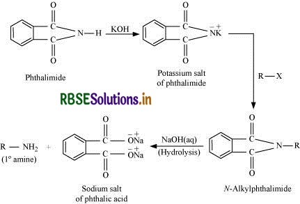RBSE Solutions for Class 12 Chemistry Chapter 13 Amines 36