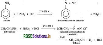RBSE Solutions for Class 12 Chemistry Chapter 13 Amines 45