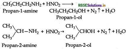 RBSE Solutions for Class 12 Chemistry Chapter 13 Amines 9