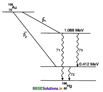 RBSE Solutions for Class 12 Physics Chapter 13 Nuclei 11