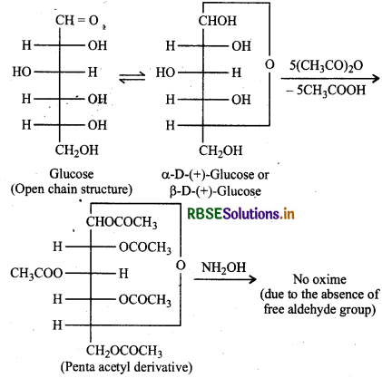 RBSE Solutions for Class 12 Chemistry Chapter 14 Biomolecules 2