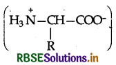 RBSE Solutions for Class 12 Chemistry Chapter 14 Biomolecules 3