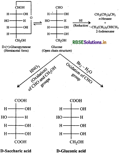 RBSE Solutions for Class 12 Chemistry Chapter 14 Biomolecules 6