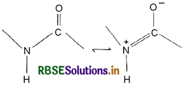 RBSE Solutions for Class 12 Chemistry Chapter 14 Biomolecules 7